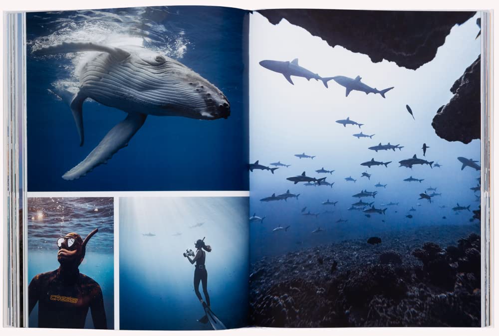 The Fine Lab Home ספר עיצוב boatlife הוא ספר בכריכה קשה המציג את החיים על סירות מפרש ליד איים סלעיים — בחירה אידיאלית לחובבי הים.