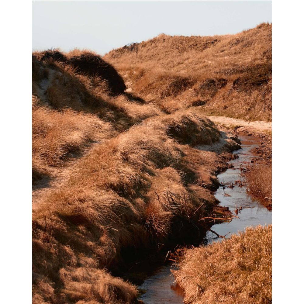 ספר העיצוב Japandi מבית Fine Lab Home מעורר אווירה שלווה עם עיצוב מינימליסטי, קווים רכים וגוונים טבעיים בהשראת גבעות מתגלגלות ועשב יבש, מושלם ליצירת חללי פנים שלוים בסגנון Japandi.