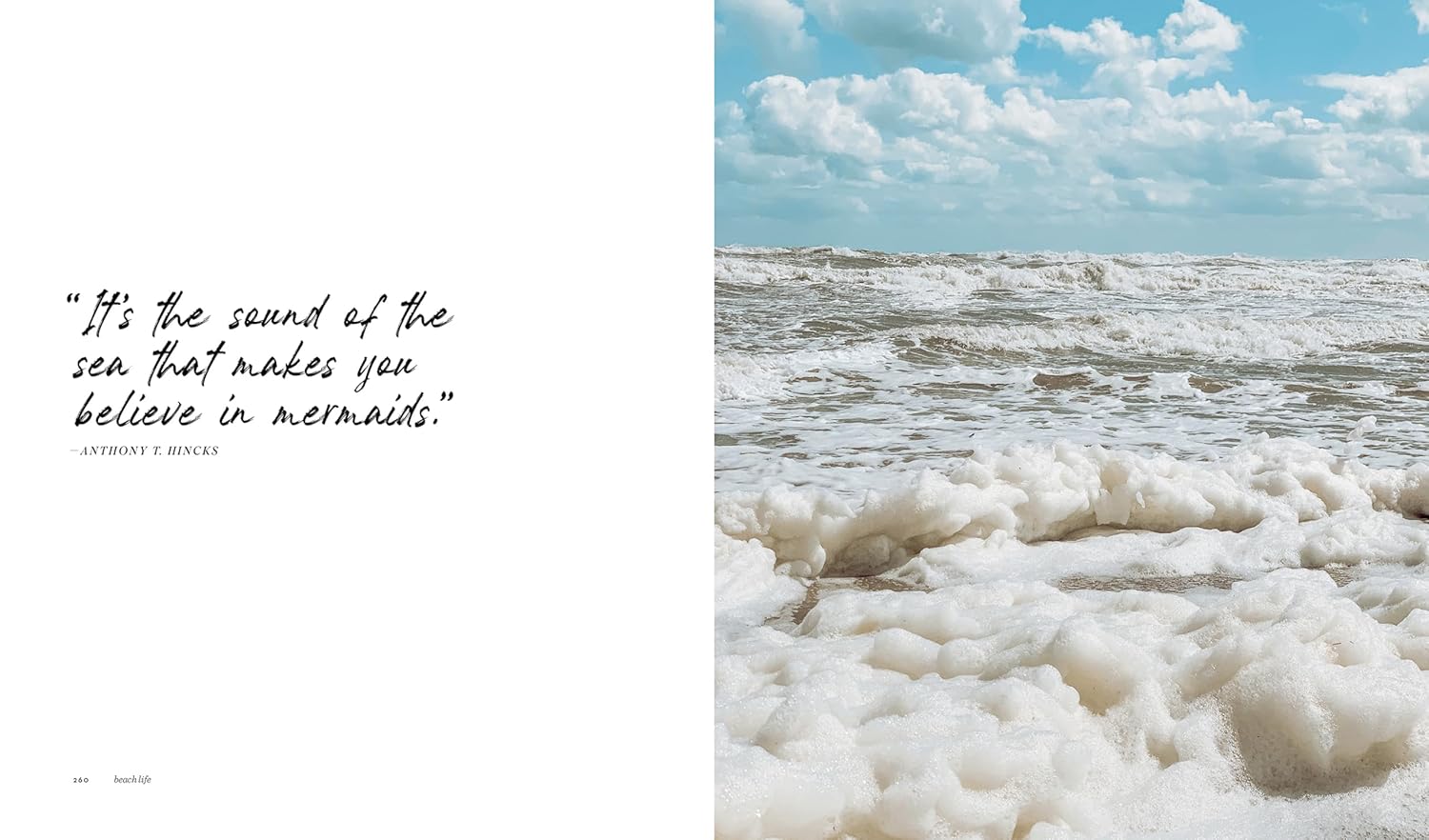 כריכת הספר "עיצוב חוף הים" מאת Fine Lab Home, המציגה סלון מואר עם קירות עץ, עיצוב ניטרלי וחלונות גדולים עם צמחייה – מושלם לאוהבי ספרים לעיצוב.