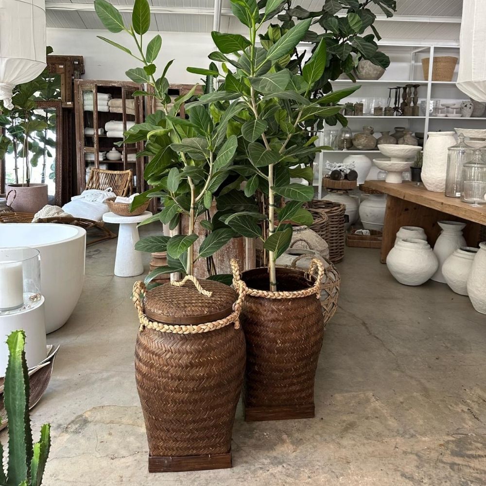שני סל קלוע עם מכסה גדולים מבית Fine Lab Home, המלאים בצמחים ירוקים ועליזים, מונחים על רצפת בטון בחנות שופעת כלי חרס, סלים ופריטי עיצוב לבית. כל סל קלוע עם מכסה מוסיף למרחב נגיעה של קסם טבעי, ומשלב בקלות בין פונקציונליות לסגנון בתוך המבחר המגוון.