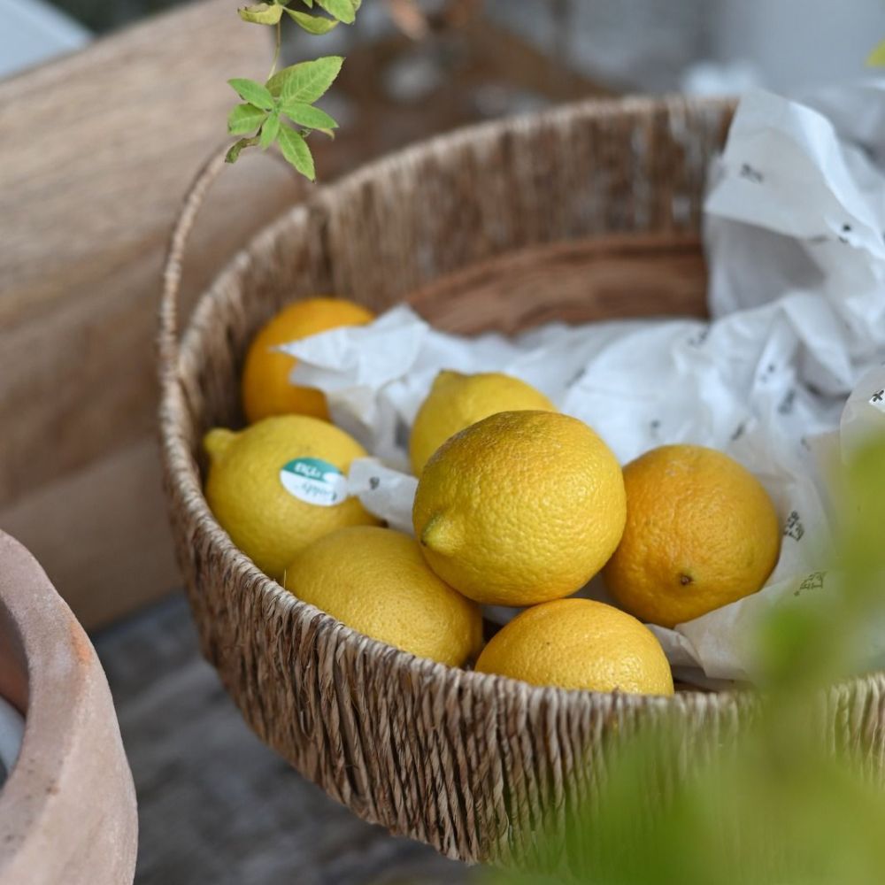 A Fine Lab Home מגש ראטן עגול עם ידיות - שלושה גדלים מכיל כמה לימונים צהובים, חלקם עטופים חלקית בנייר לבן.